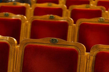 Klasik Kırmızı Kadife ve Orman Tiyatrosu Koltukları