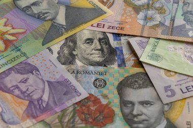 Karışık Rumen Leu ve ABD Doları Banknotlarını Kapat