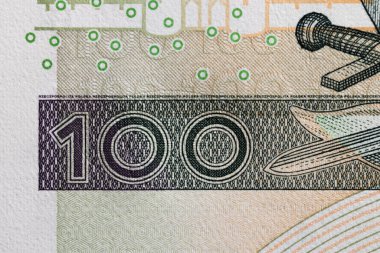 Polonya Zloty Banknotları Güvenliğinde 100 Numaralı Makro