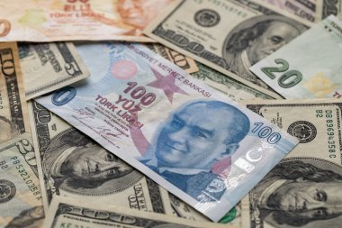 Türk Lirası ve ABD Doları Karışımı