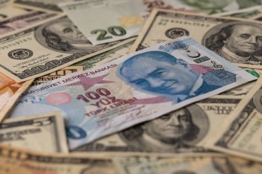 Türk Lirası ve ABD Doları Karışımı