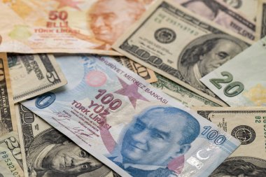 Türk Lirası ve ABD Doları Karışımı