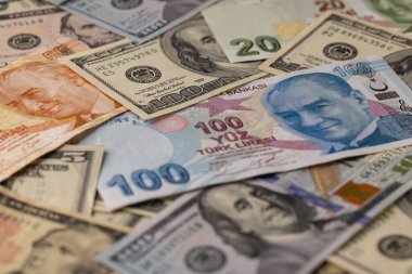 Türk Lirası ve ABD Doları Karışımı