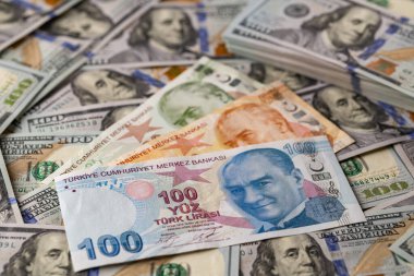 Türk Lirası ve ABD Doları Karışımı