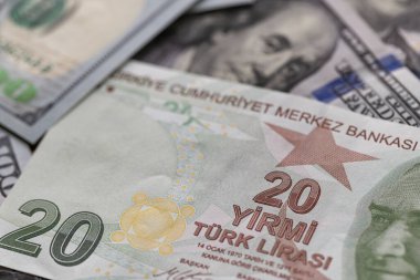 Türk Lirası ve ABD Doları Karışımı