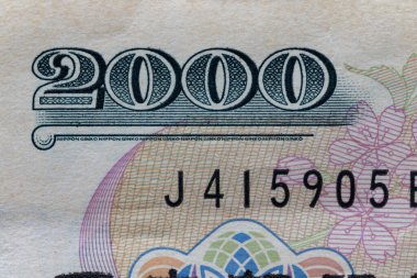 Japon Yen Banknote Çiçek Güvenlik Tasarımı Makro