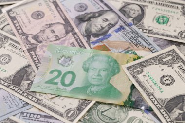 ABD ve Kanada Dolar Borsası Konsepti