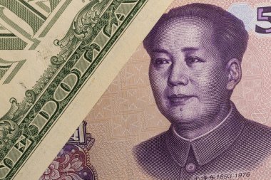 Mao Zedong Dolarlık Bill Yakın Çekimi Dilimliyor