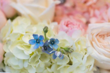 Yumuşak Pastel Çiçek Buketi Mavi Beni Unutma Beyaz Ortanca ve Pembe Güller