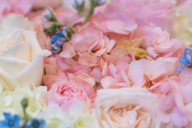 Yumuşak Pastel Çiçek Buketi Mavi Beni Unutma Beyaz Ortanca ve Pembe Güller