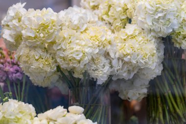 Büyük Buket Beyaz Ortanca Çiçekleri Cam Vazoda Yaklaş