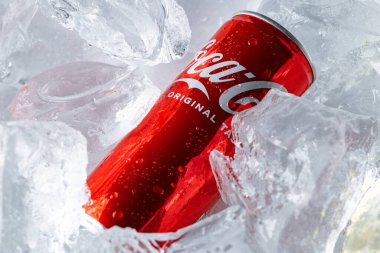 Lviv, Ukrayna - 6 Şubat 2026: Red Coca-Cola Soda Kutusu