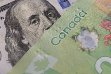 Kanada 20 Doları 100 Doların Üzerinde