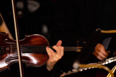 Dizgileri ve Köprüsü olan Klasik Keman Gövdesinin Ayrıntılı Yakın Çekimi