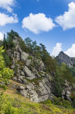 Dağlarda alışılmadık kayalar var. Mountain Kolyvan 'ın doğası. Sinyukha Dağı. Altai Krai, Sibirya, Rusya.