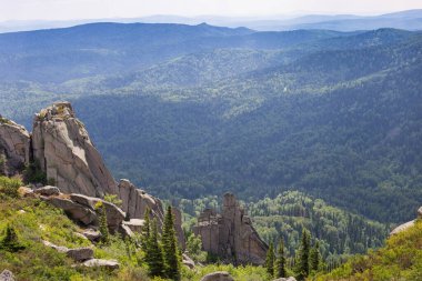 Dağlarda alışılmadık kayalar var. Mountain Kolyvan 'ın doğası. Sinyukha Dağı. Altai Krai, Sibirya, Rusya.