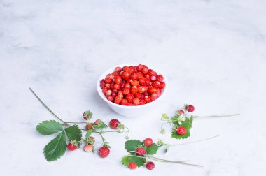 Hafif arka planda olgun yabani çilekler. Yakın plan..