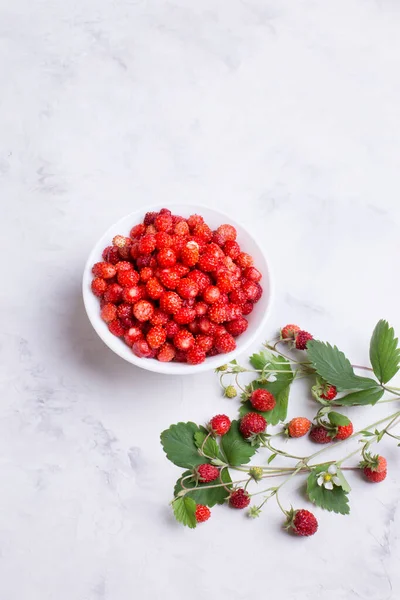 Hafif arka planda olgun yabani çilekler. Yakın plan..