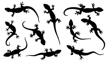 various lizard silhouettes clipart