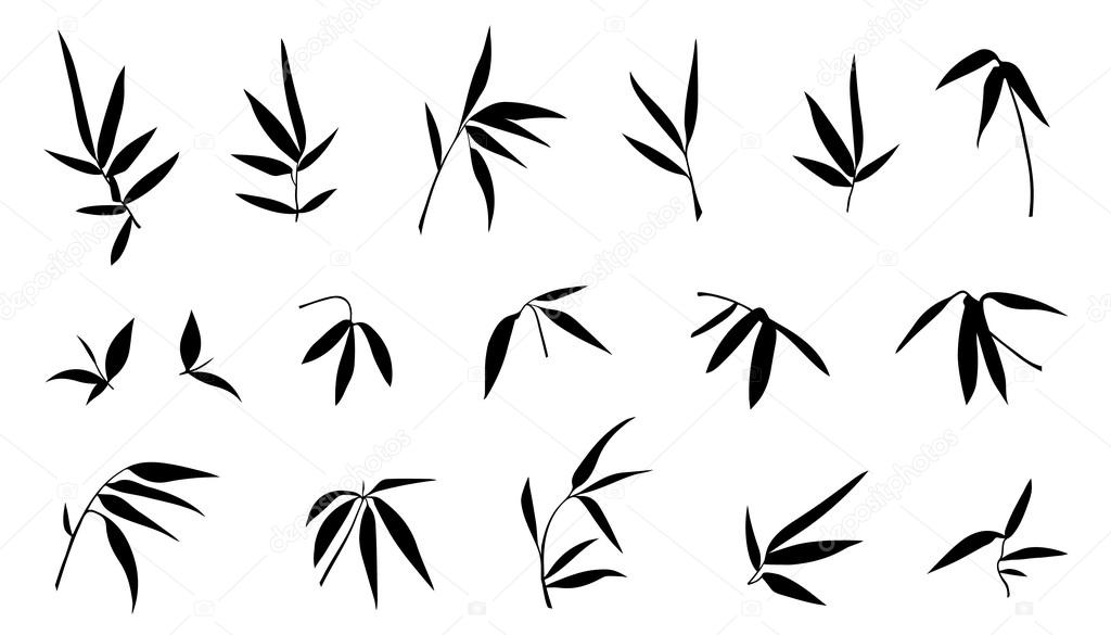 various bamboo branch silhouettes