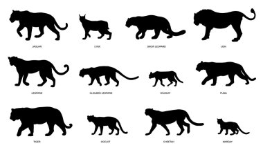 various  wildcats silhouettes clipart