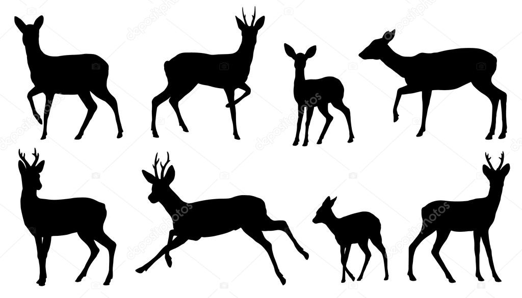 Roe deer silhouettes on the white background