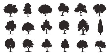 various deciduous trees silhouettes on the white background clipart