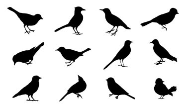bird2 silhouettes clipart