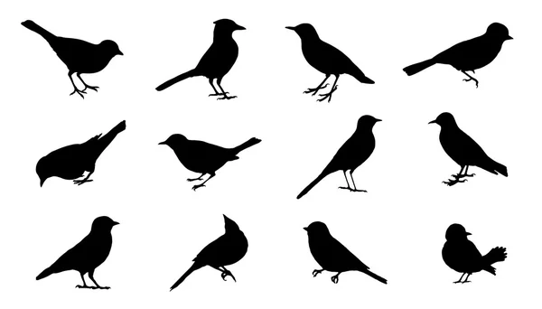 Bird2 Silhouetten — Stockvektor