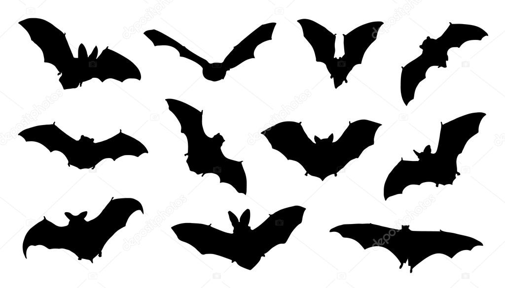 Bat silhouettes on the white background