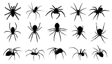 örümcek silhouettes