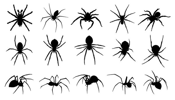 spider silhouettes