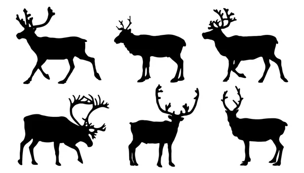 Reindeer silhouettes — Stock Vector