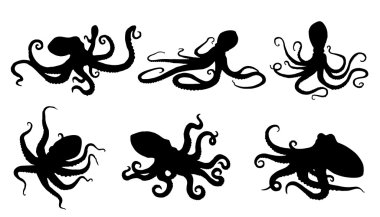 Octupus siluetleri
