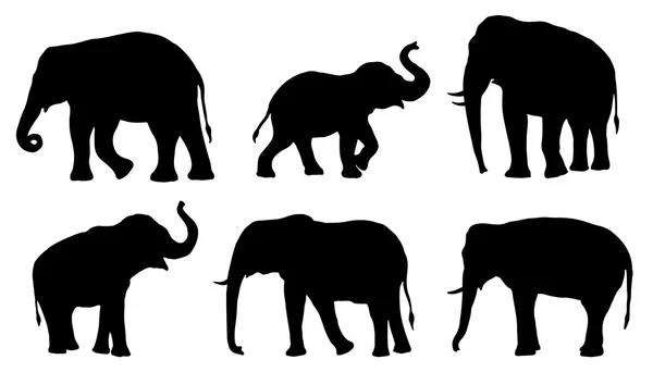 Siluetas de elefante — Vector de stock