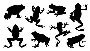 Kurbağa silhouettes