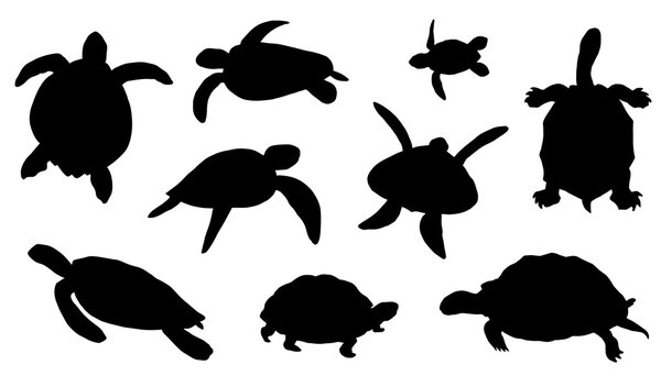 turtle silhouettes