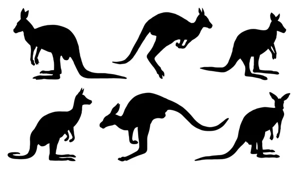 Silhouettes de kangourou — Image vectorielle