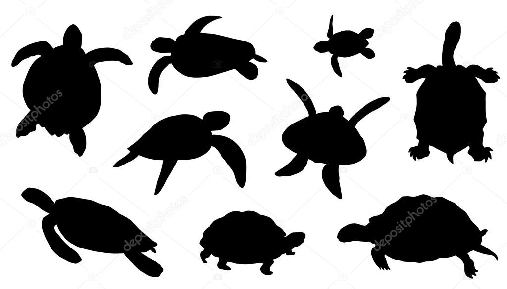 turtle silhouettes