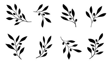 olive branch clipart