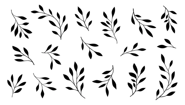 Branch silhouetten — Stockvector