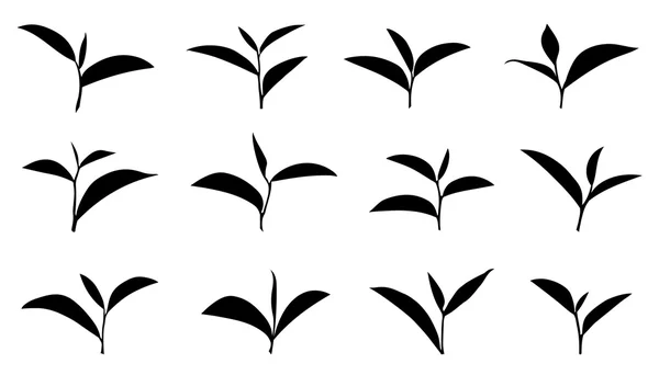 Hoja de té — Vector de stock