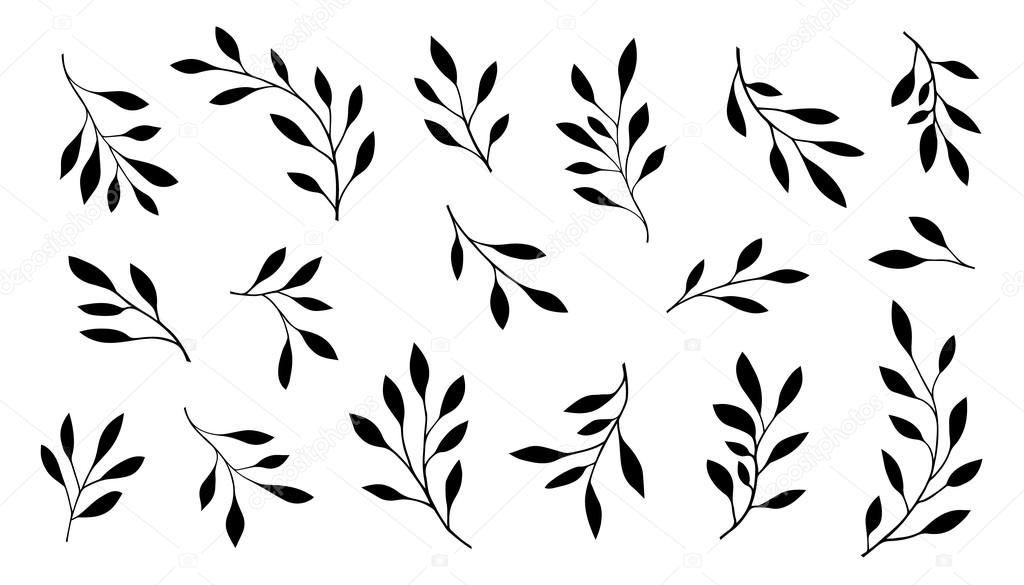 Branch silhouettes on the white background