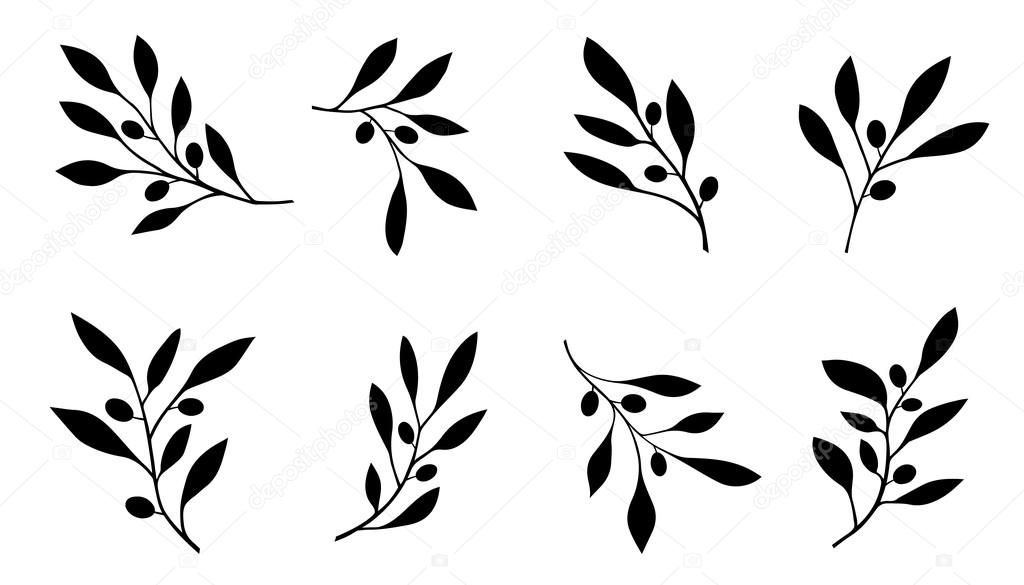 Olive branch on the white background