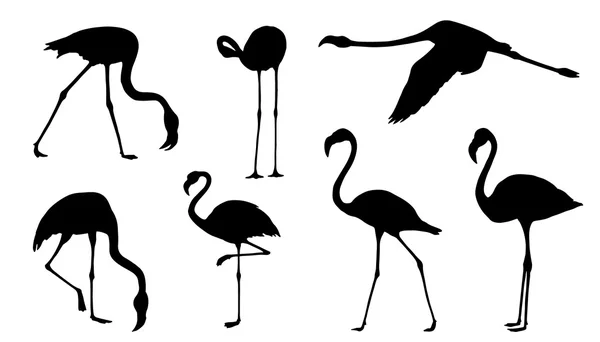 Silhuetas de Flamingo — Vetor de Stock