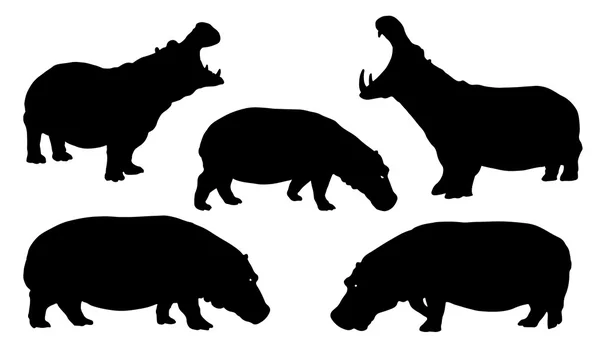 Silhuetas hipopótamos — Vetor de Stock