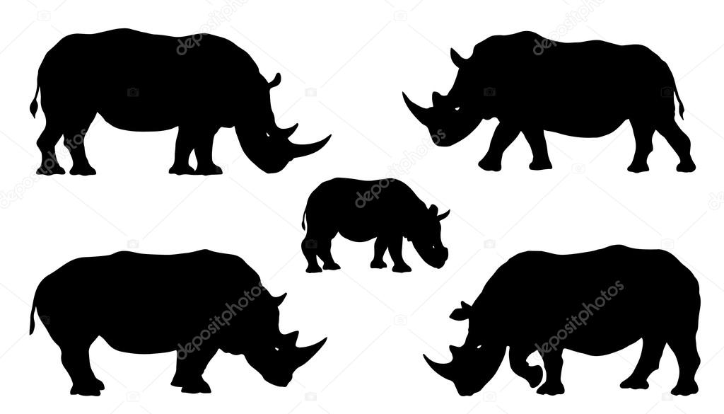 Rhino silhouettes on the white background