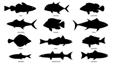 Deniz ürünleri silhouettes