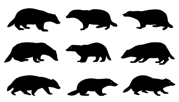 Badger silhouettes — Stock Vector