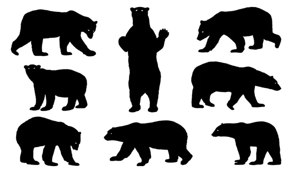 Polar bear silhouettes — Stock Vector